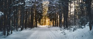 Preview wallpaper winter, trees, forest, road