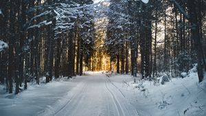 Preview wallpaper winter, trees, forest, road
