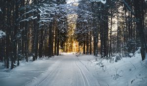 Preview wallpaper winter, trees, forest, road