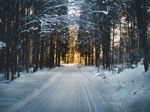 Preview wallpaper winter, trees, forest, road