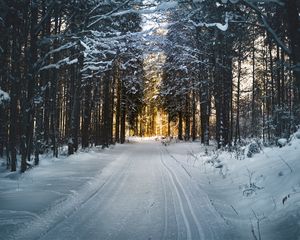 Preview wallpaper winter, trees, forest, road