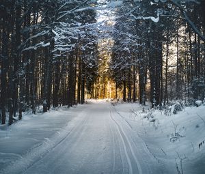 Preview wallpaper winter, trees, forest, road