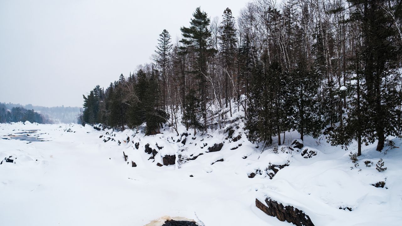 Wallpaper winter, trees, forest, snow, nature