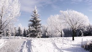 Preview wallpaper winter, trees, hoarfrost, ski track, traces, snow, sky, clouds, lifting