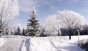 Preview wallpaper winter, trees, hoarfrost, ski track, traces, snow, sky, clouds, lifting