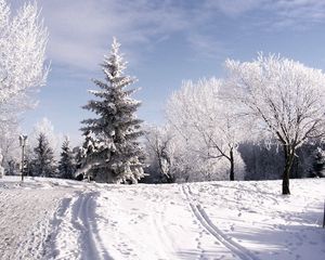 Preview wallpaper winter, trees, hoarfrost, ski track, traces, snow, sky, clouds, lifting