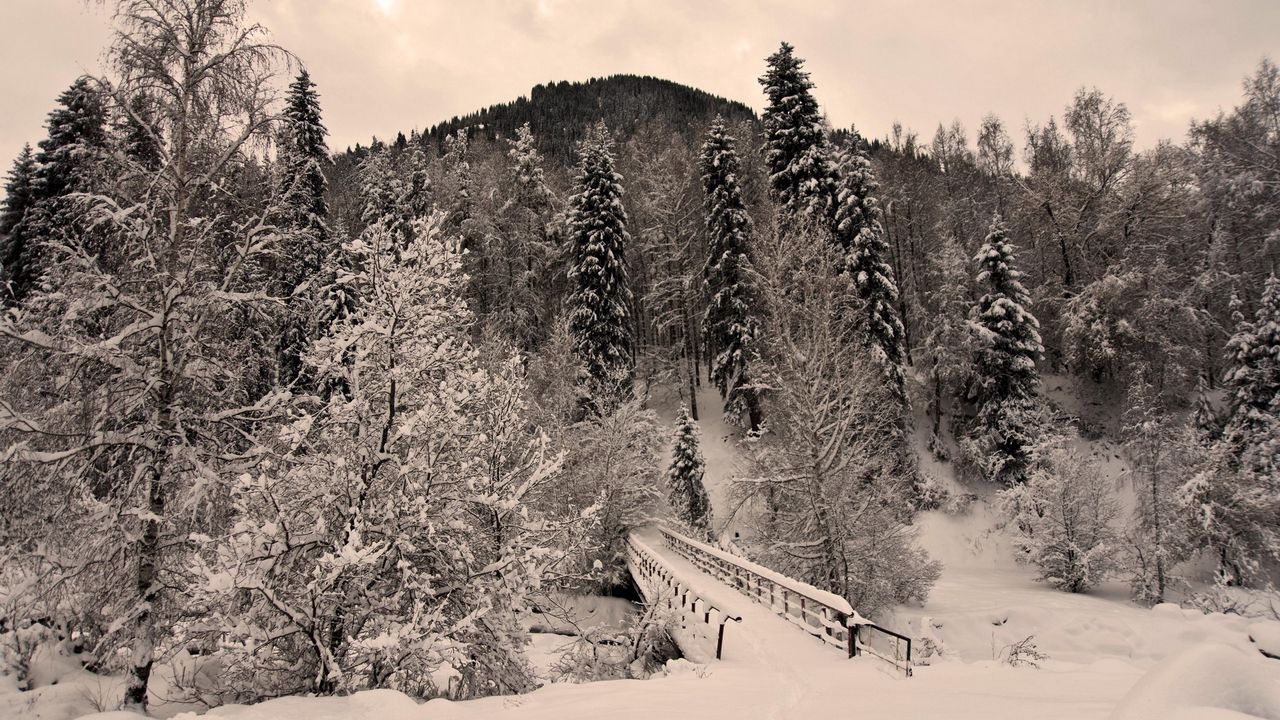 Wallpaper winter, trees, hoarfrost, bridge, snow, terribly, gloomy, weight