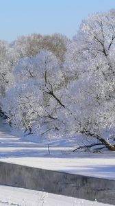 Preview wallpaper winter, trees, river, hoarfrost, gray hair, sky, white, shadows