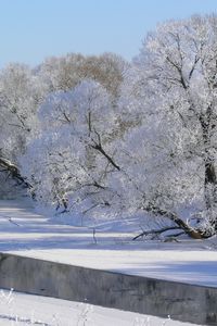 Preview wallpaper winter, trees, river, hoarfrost, gray hair, sky, white, shadows