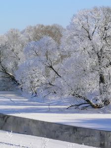 Preview wallpaper winter, trees, river, hoarfrost, gray hair, sky, white, shadows