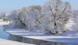 Preview wallpaper winter, trees, river, hoarfrost, gray hair, sky, white, shadows