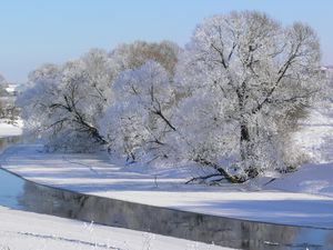 Preview wallpaper winter, trees, river, hoarfrost, gray hair, sky, white, shadows