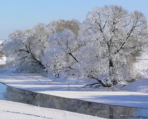 Preview wallpaper winter, trees, river, hoarfrost, gray hair, sky, white, shadows