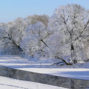 Preview wallpaper winter, trees, river, hoarfrost, gray hair, sky, white, shadows