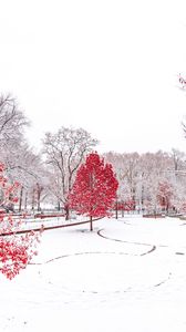 Preview wallpaper winter, trees, snow, park