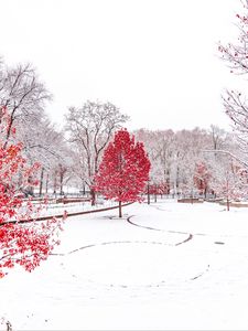 Preview wallpaper winter, trees, snow, park