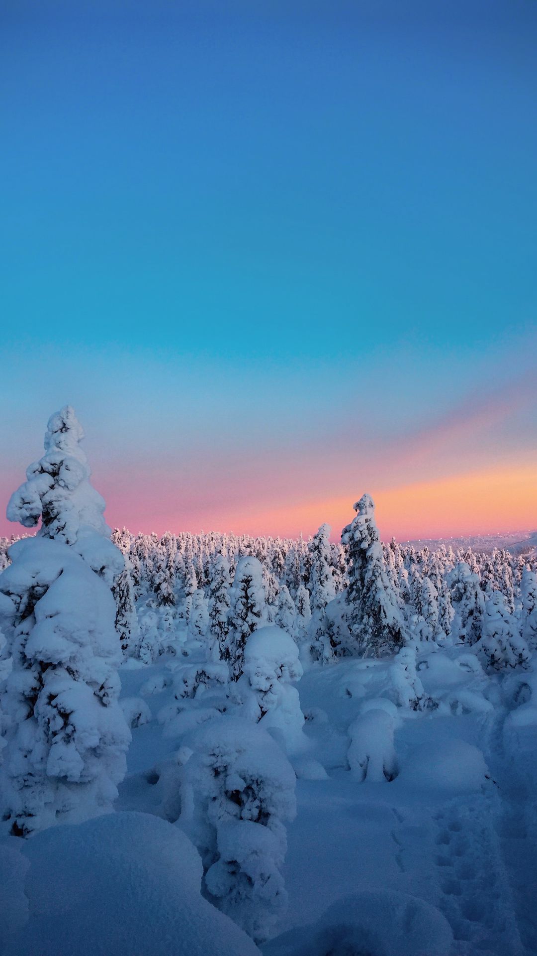 1080x1920 Wallpaper winter, trees, snow, horizon, snowy