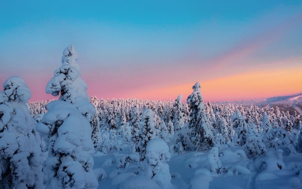 1280x800 Wallpaper winter, trees, snow, horizon, snowy