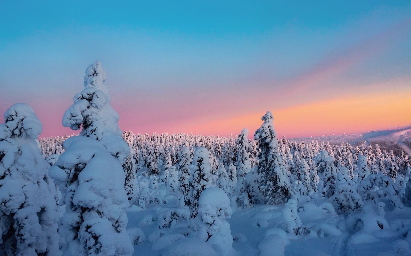 1440x900 Wallpaper winter, trees, snow, horizon, snowy
