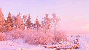 Preview wallpaper winter, trees, snow drifts, logs, in december, light