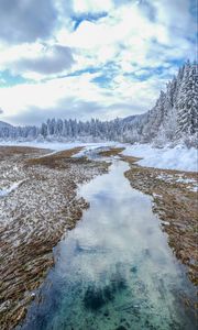 Preview wallpaper winter, trees, spruce, landscape, kranjska gora, slovenia