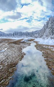 Preview wallpaper winter, trees, spruce, landscape, kranjska gora, slovenia