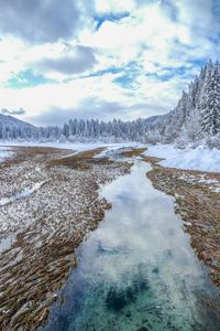 Preview wallpaper winter, trees, spruce, landscape, kranjska gora, slovenia