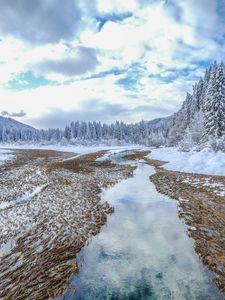 Preview wallpaper winter, trees, spruce, landscape, kranjska gora, slovenia