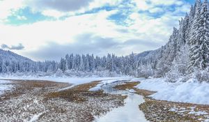 Preview wallpaper winter, trees, spruce, landscape, kranjska gora, slovenia