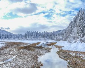 Preview wallpaper winter, trees, spruce, landscape, kranjska gora, slovenia