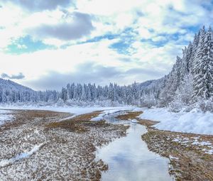 Preview wallpaper winter, trees, spruce, landscape, kranjska gora, slovenia