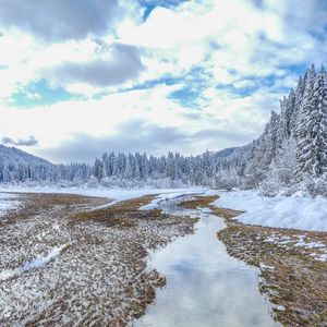 Preview wallpaper winter, trees, spruce, landscape, kranjska gora, slovenia