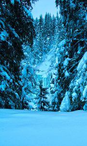 Preview wallpaper winter, trees, spruce, snow, landscape