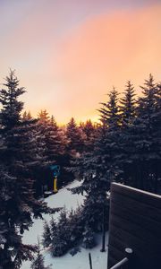 Preview wallpaper winter, trees, sunset, view, landscape