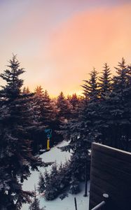 Preview wallpaper winter, trees, sunset, view, landscape