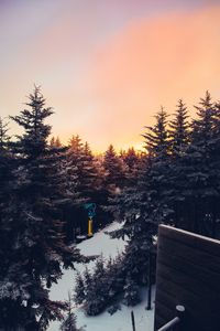 Preview wallpaper winter, trees, sunset, view, landscape