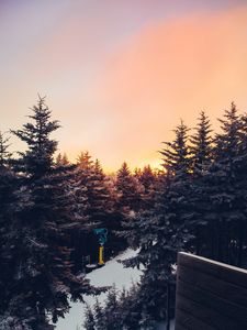 Preview wallpaper winter, trees, sunset, view, landscape