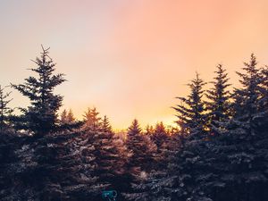 Preview wallpaper winter, trees, sunset, view, landscape