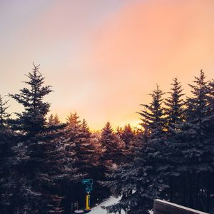 Preview wallpaper winter, trees, sunset, view, landscape