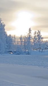Preview wallpaper winter, winter landscape, trees, snow, frost, beautifully