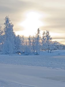 Preview wallpaper winter, winter landscape, trees, snow, frost, beautifully
