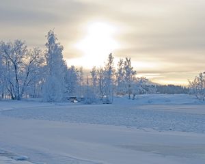 Preview wallpaper winter, winter landscape, trees, snow, frost, beautifully