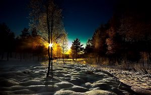 Preview wallpaper winter, wood, young growth, dawn, morning, shadows, cover, snowdrifts