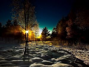 Preview wallpaper winter, wood, young growth, dawn, morning, shadows, cover, snowdrifts