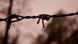 Preview wallpaper wire, drops, water, blur, macro