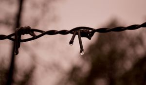 Preview wallpaper wire, drops, water, blur, macro