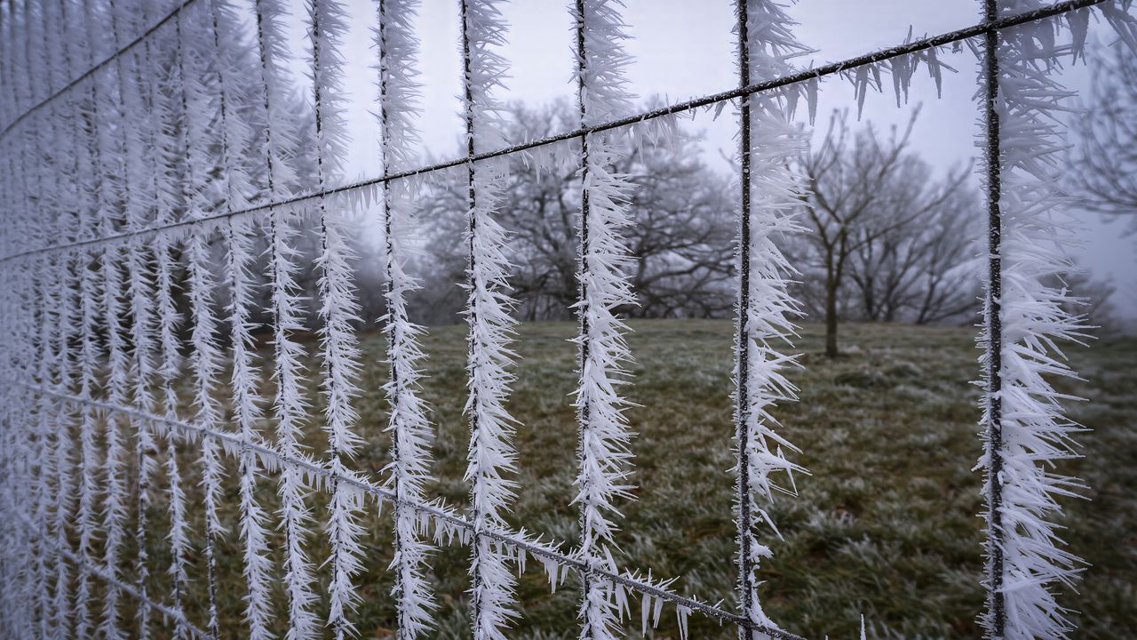 Wallpaper wire, frost, ice