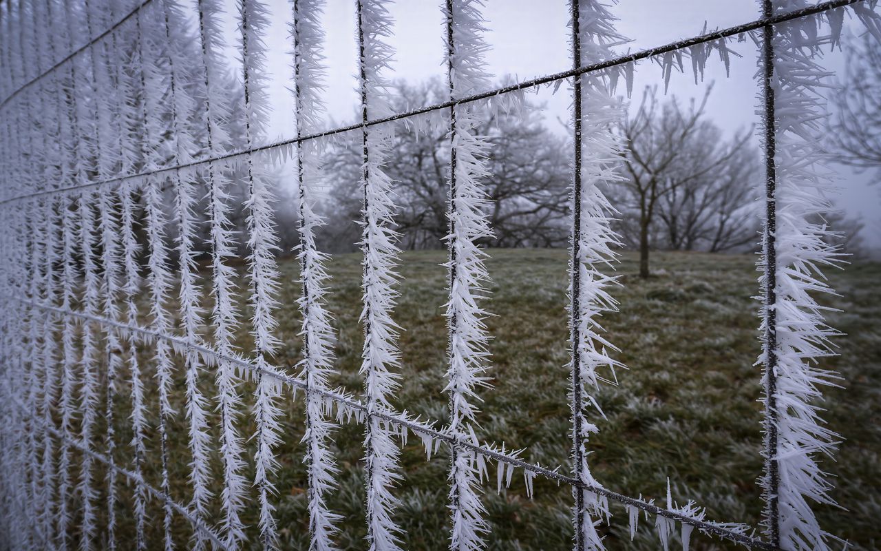 1280x800 Wallpaper wire, frost, ice