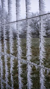 Preview wallpaper wire, frost, ice