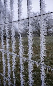 Preview wallpaper wire, frost, ice